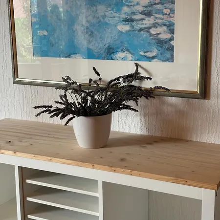 公寓 Haus Roemhild - Balkon Zum Bodensee 马克多夫